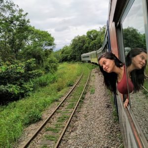 Passeio de Trem em Morretes: Um guia completo!