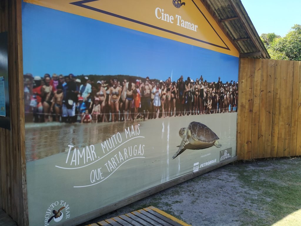 Roteiro em Florianópolis: Projeto Tamar