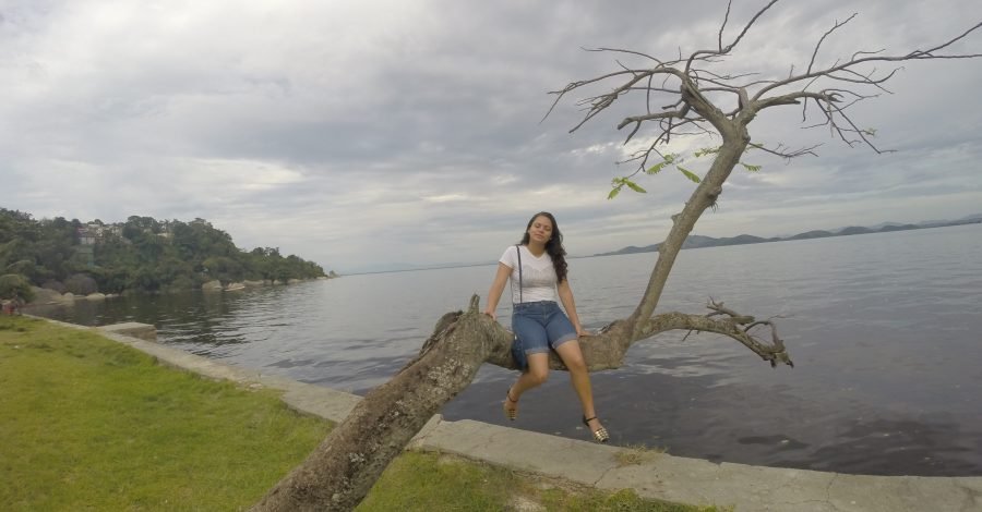 Ilha de Paquetá como ir e o que fazer?