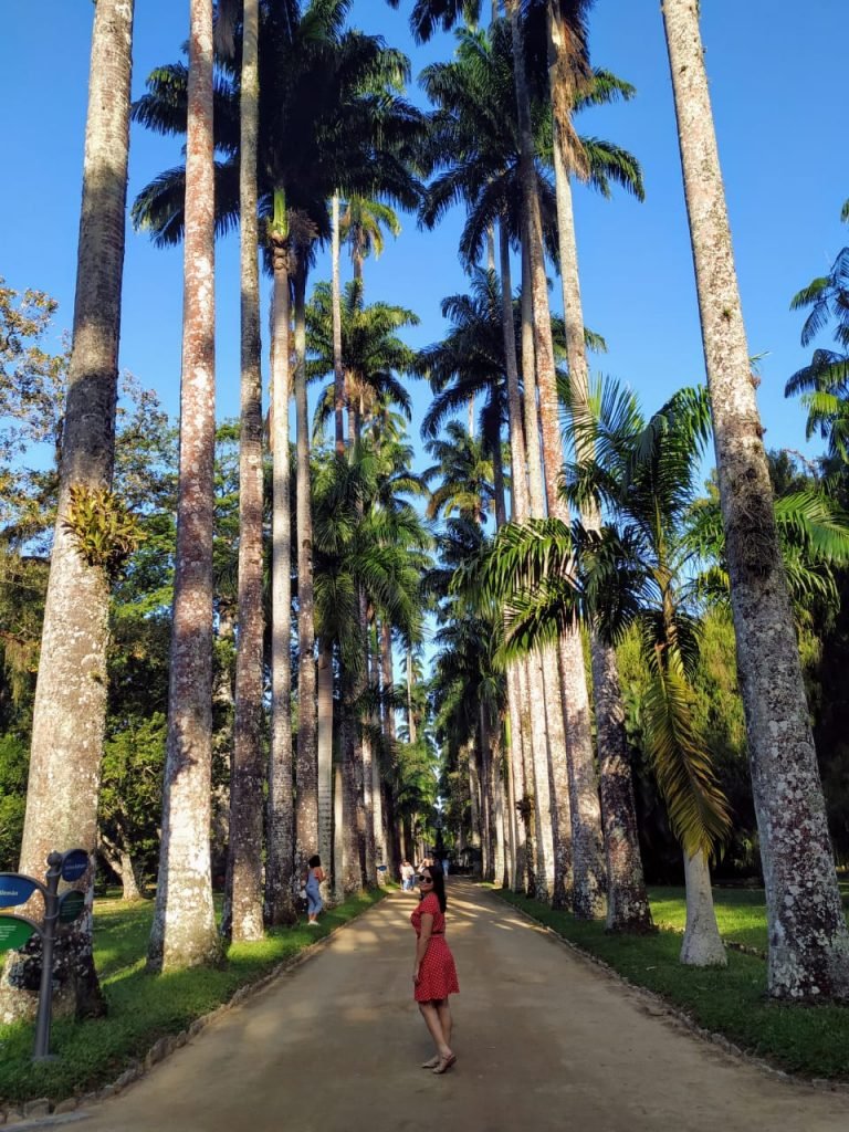 Rio de Janeiro reaberto para o turismo