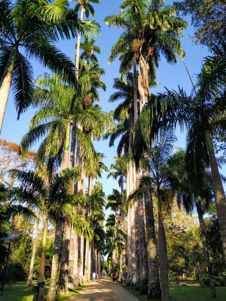 Jardim Botânico do Rio de Janeiro