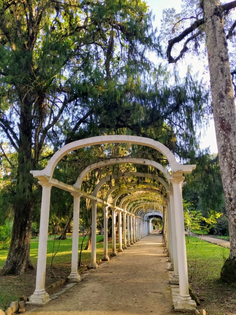 Jardim Botânico do Rio de Janeiro