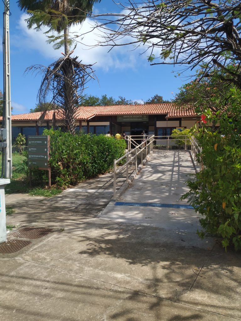 Projeto Tamar em Fernando de Noronha