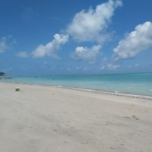 Como ir de Maceió para Maragogi? Opções e preços!