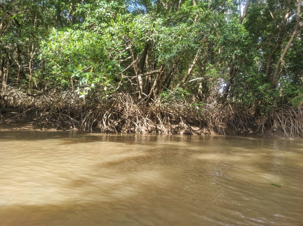 Passeio para o Delta do Parnaíba