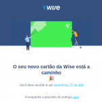 Entenda como funciona Wise e o cartão de débito internacional