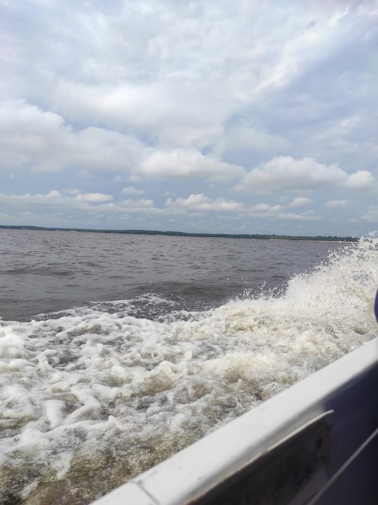 Passeio de Barco em Manaus, o Safari Amazônico