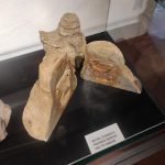 Museu de História Natural de Mato Grosso