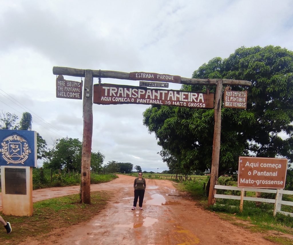 Conheça Cuiabá e arredores: Pantanal