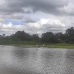 Passeio de barco no Pantanal