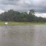 Passeio de barco no Pantanal
