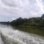 Passeio de barco no Pantanal