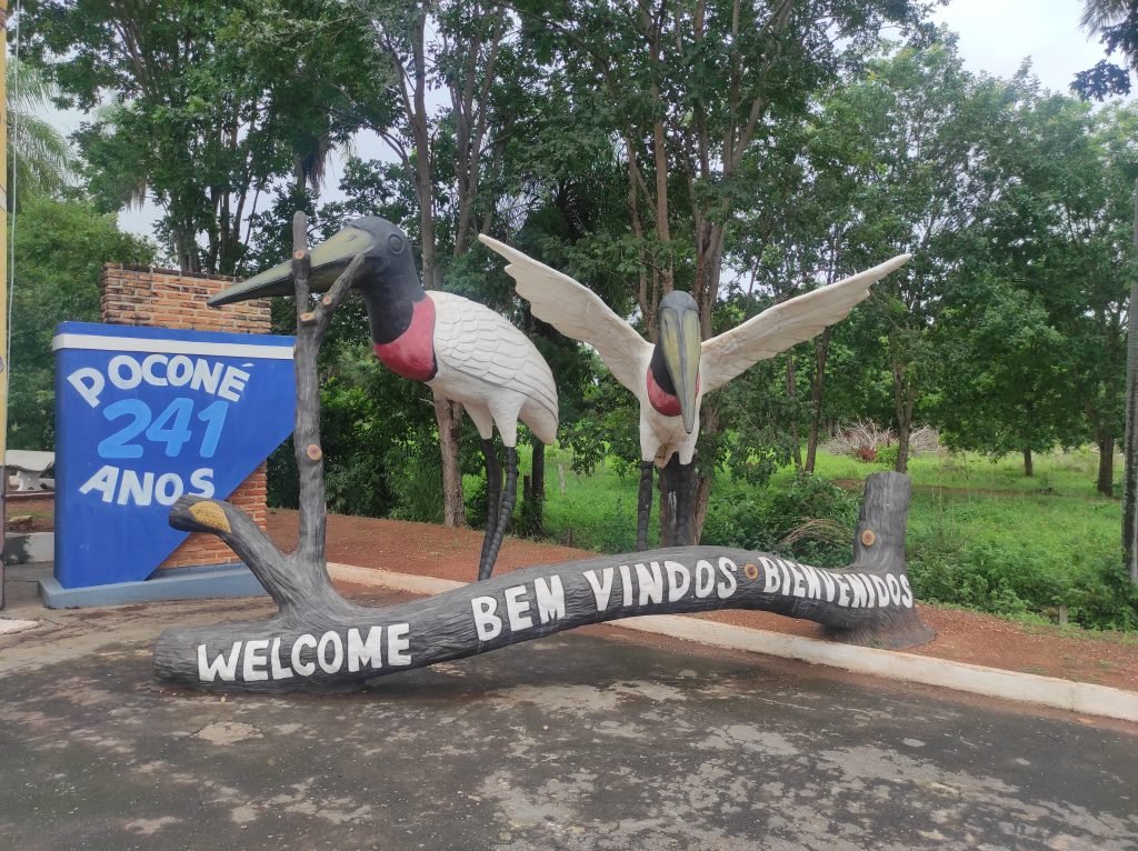 O que fazer no Pantanal