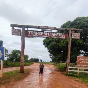 O que fazer em Mato Grosso: 4 destinos incríveis