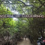 Praia de Coqueirinho na Costa do Conde PB