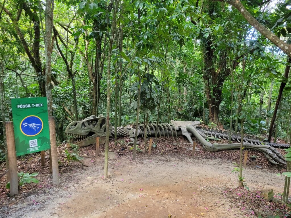 Viagem de final de semana a Miguel Pereira (RJ): roteiro em família, dicas práticas e custos reais 6 20250323 095524