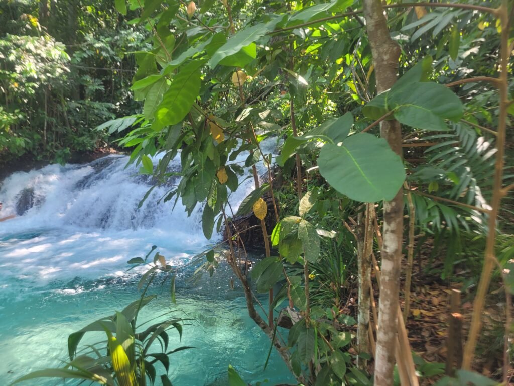 cachoeira do formiga - jalapão