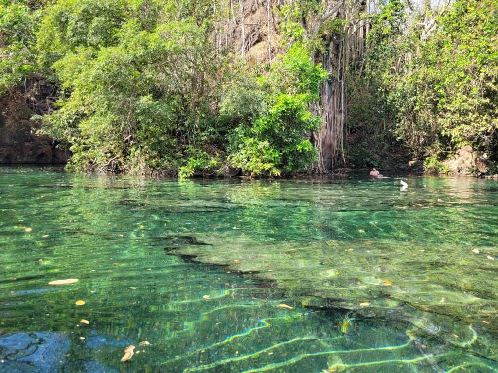 lagoa do japonês - jalapão